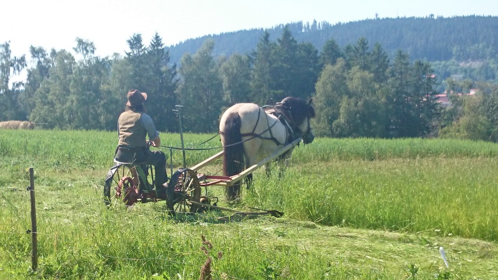 På Jamtli har man skapat autentiska miljöer från 1700-talet och framåt